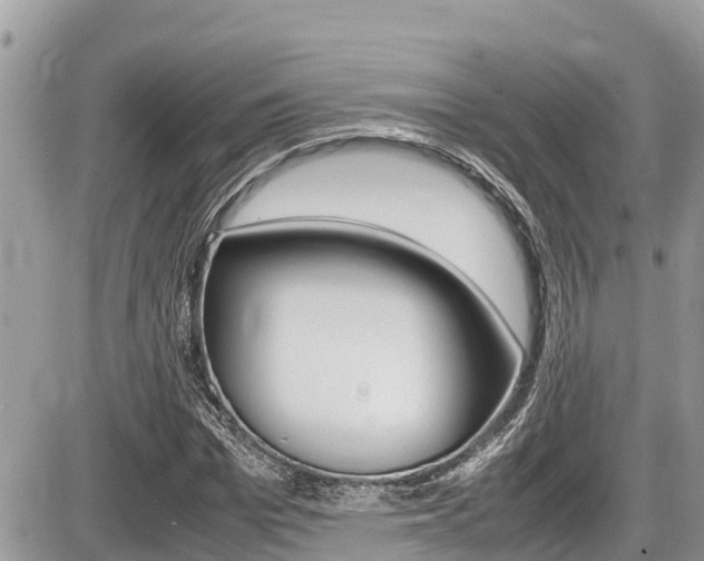 X0000087400969200704200949