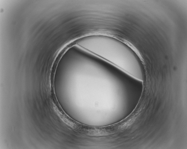X0000087400980200704200948