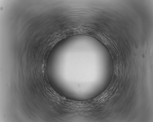 X0000087401010200704200947