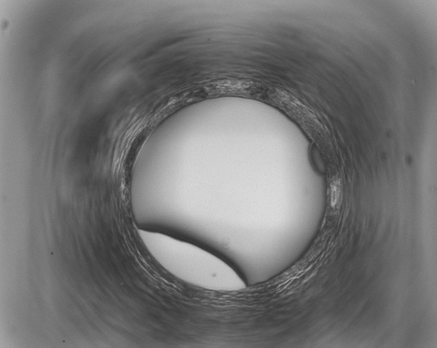 X0000087401011200704200947