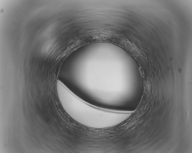 X0000087401012200704200947