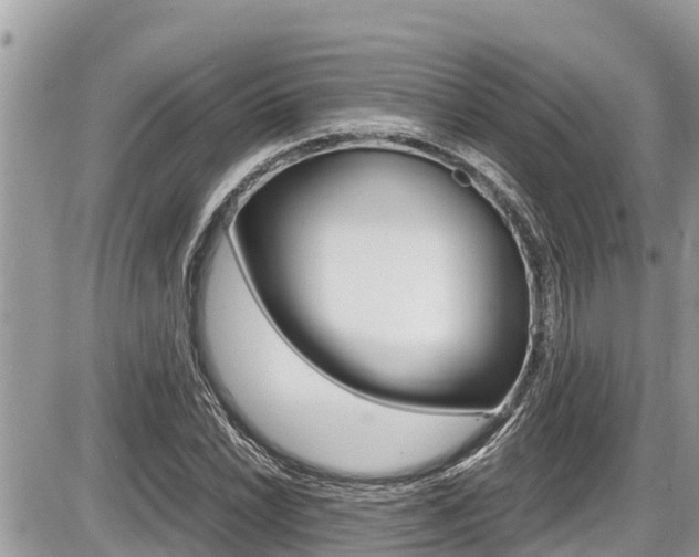 X0000087401022200704200947
