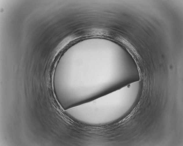 X0000087401023200704200947