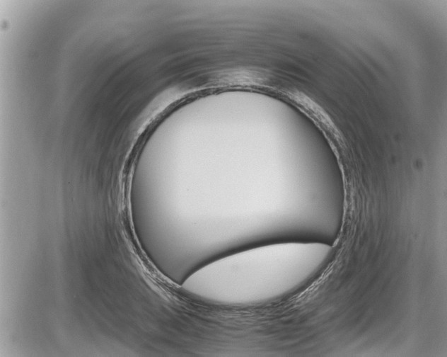 X0000087401031200704200947