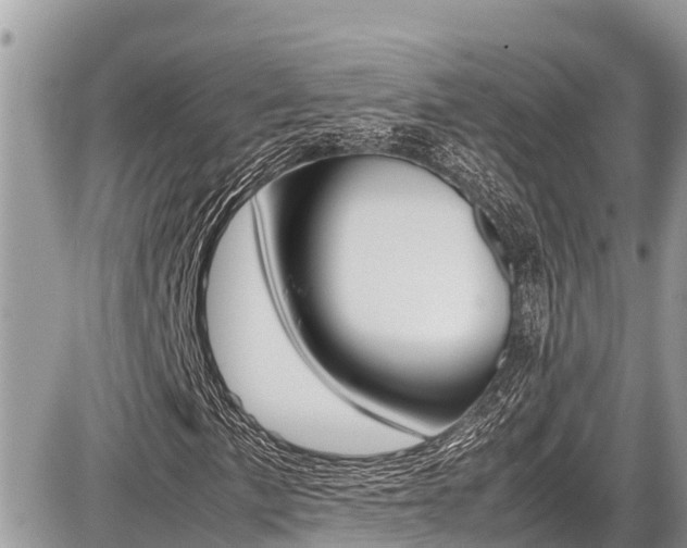 X0000087401057200704200947