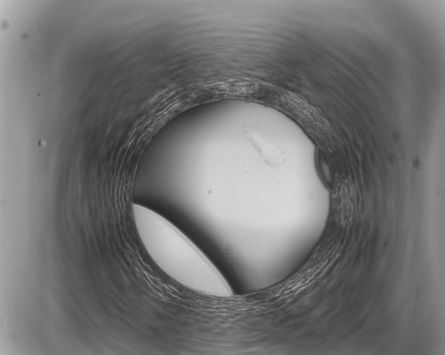 X0000087401058200704200947