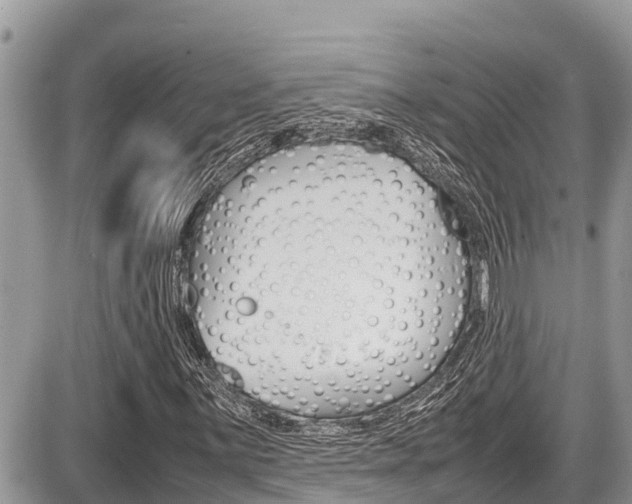 X0000087401059200704200947