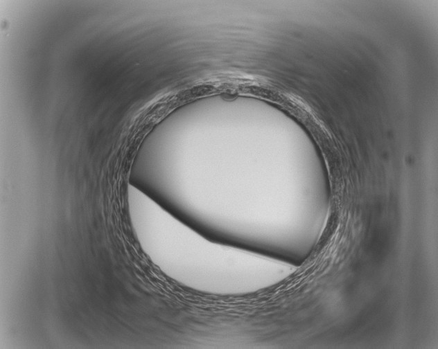 X0000087401063200704200947