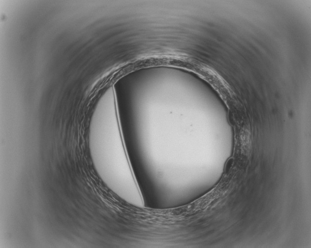 X0000087401064200704200947