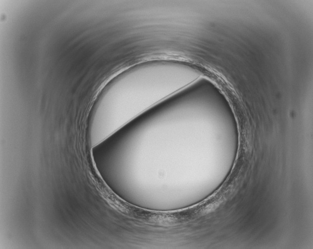 X0000087401073200704200947