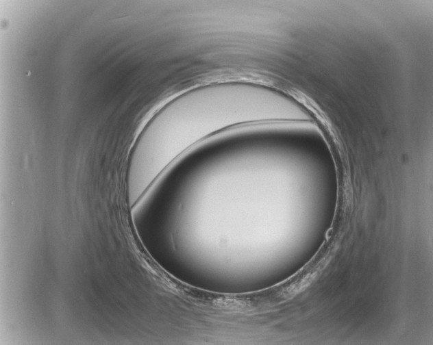 X0000087401089200704200947