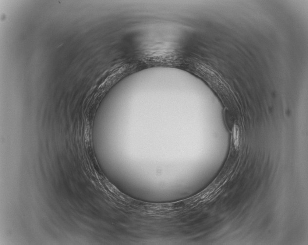 X0000087401107200704200946