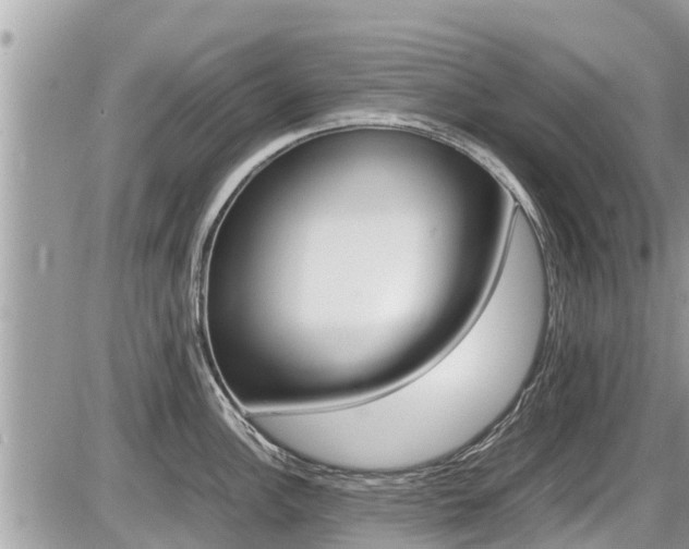X0000087401148200704200946