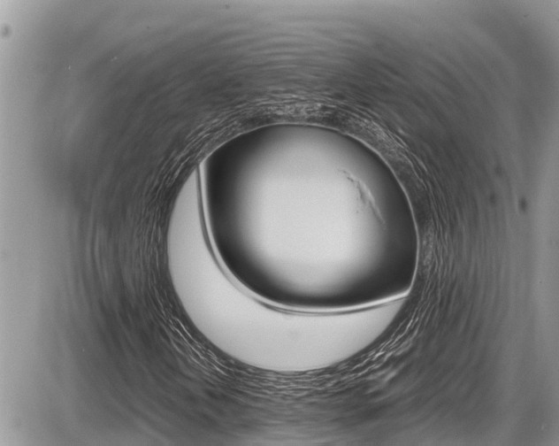 X0000087401202200704200944