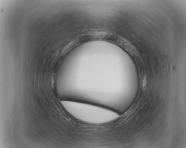 X0000087401204200704200944