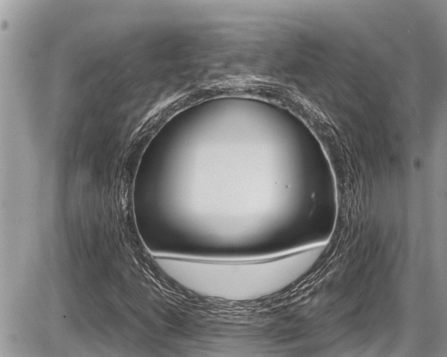 X0000087401206200704200944
