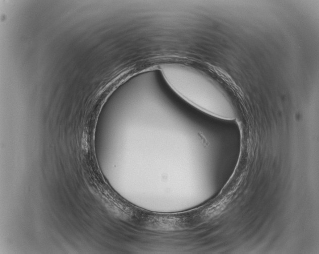 X0000087401209200704200944