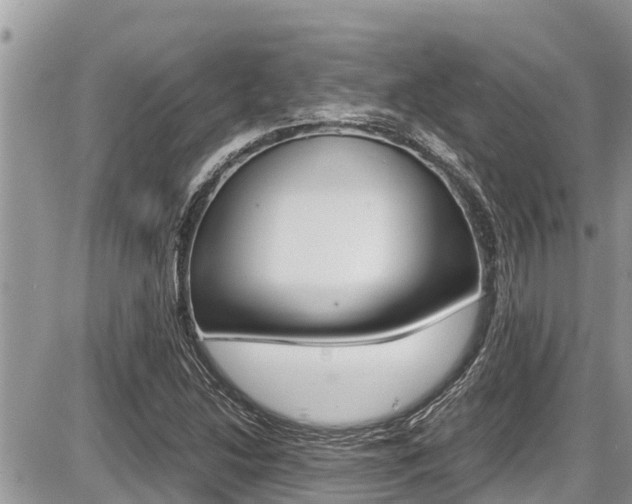 X0000087401214200704200944