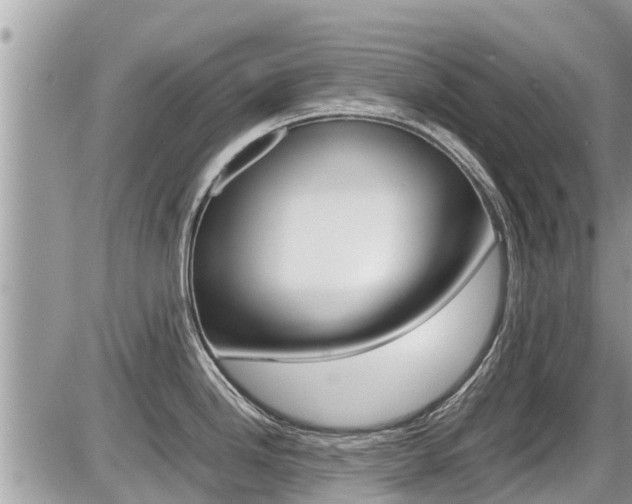 X0000087401246200704200945