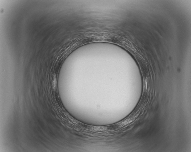 X0000087401251200704200944