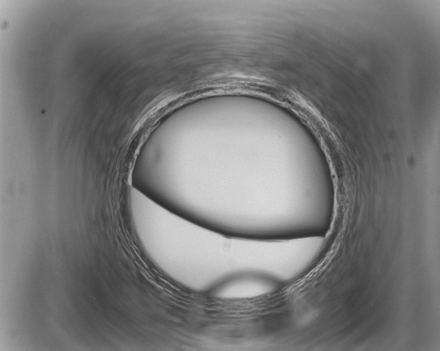 X0000087401259200704200944