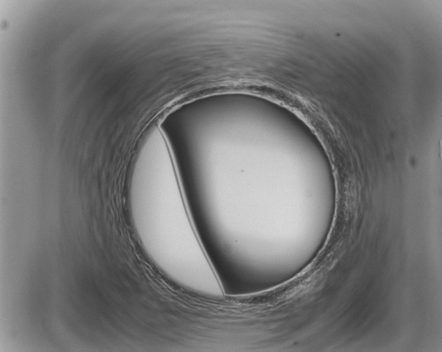 X0000087401265200704200944