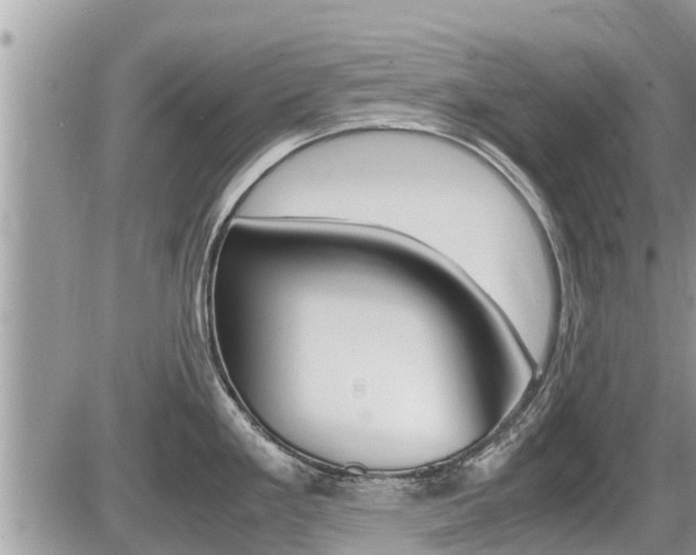 X0000087401293200704200943