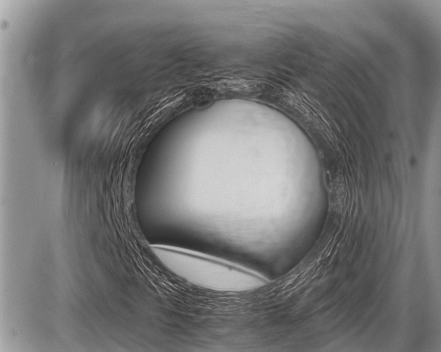 X0000087401297200704200942