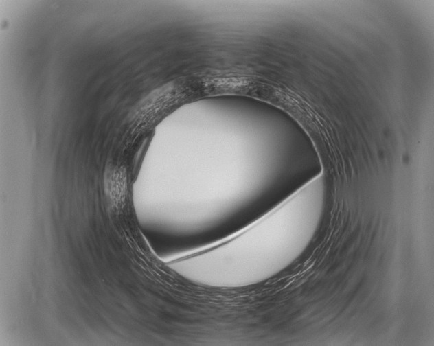 X0000087401299200704200942