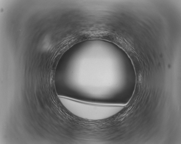 X0000087401300200704200942