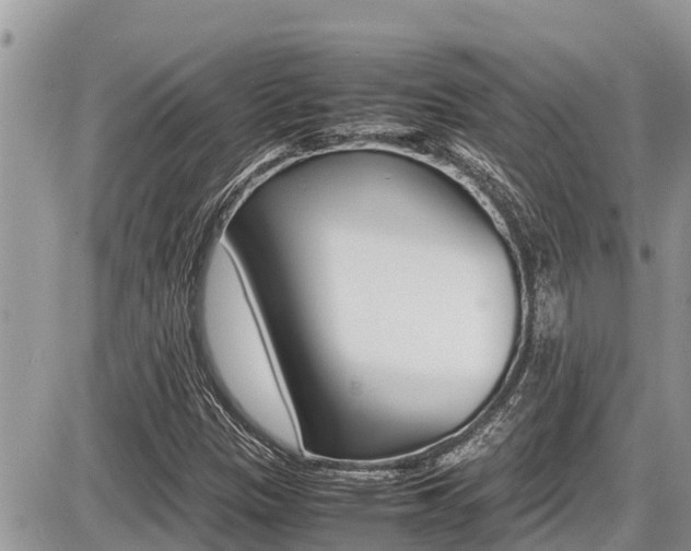 X0000087401305200704200943