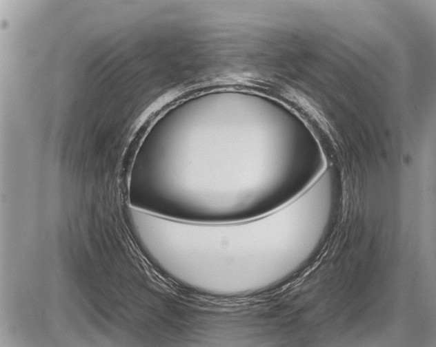 X0000087401308200704200943