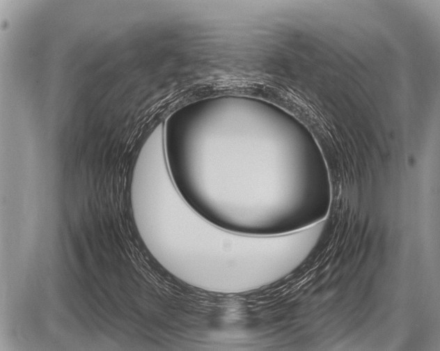 X0000087401348200704200942
