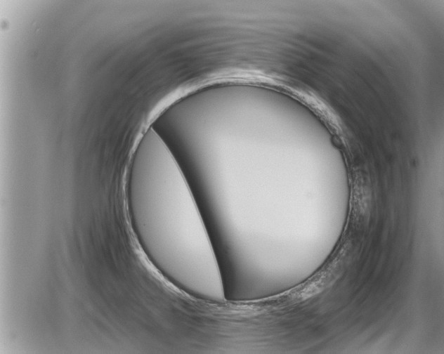 X0000087401382200704200942