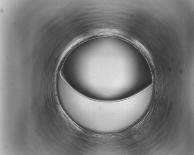 X0000087401384200704200942