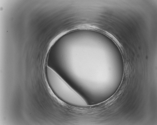 X0000087401387200704200942