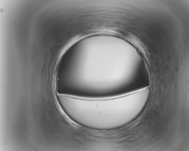 X0000087401391200704200942