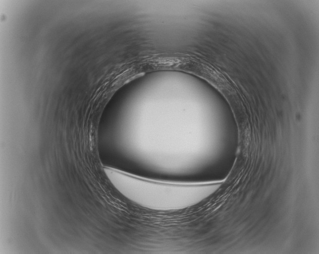 X0000087401394200704200941