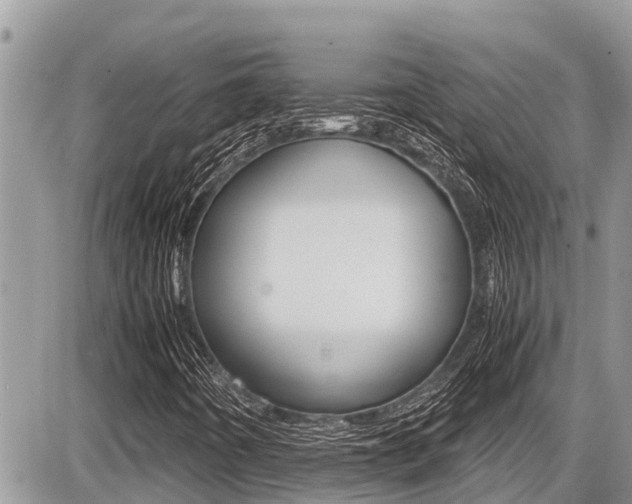 X0000087401442200704200941