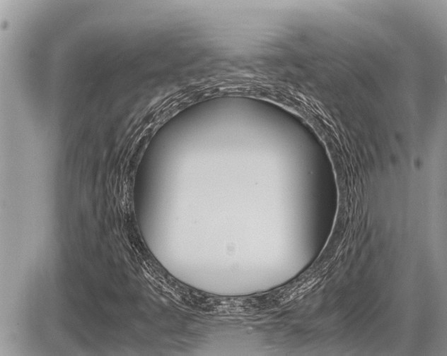 X0000087401445200704200941
