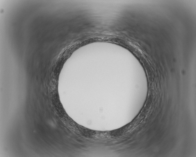 X0000087401447200704200941