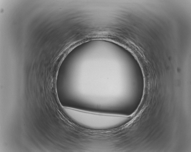 X0000087401449200704200941