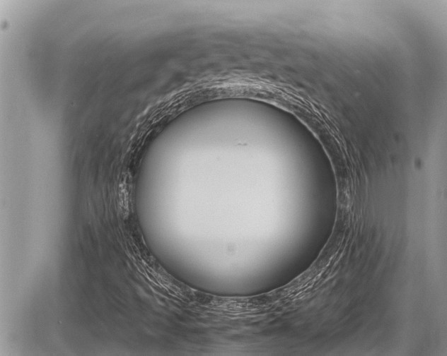 X0000087401493200704200939