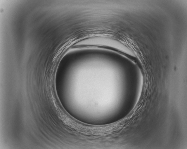 X0000087400001200704201319