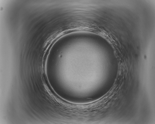 X0000087400002200704201319