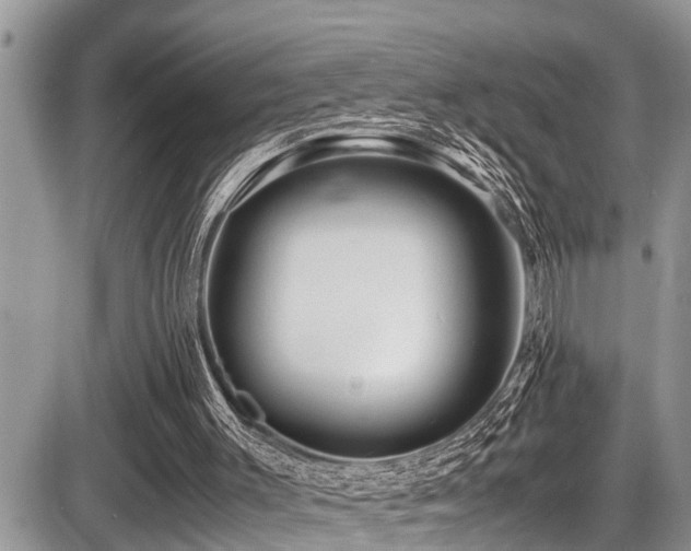 X0000087400003200704201319