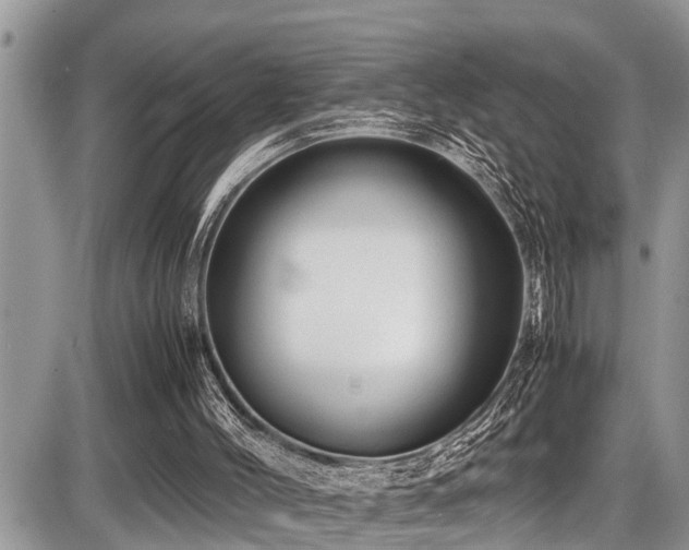 X0000087400004200704201319