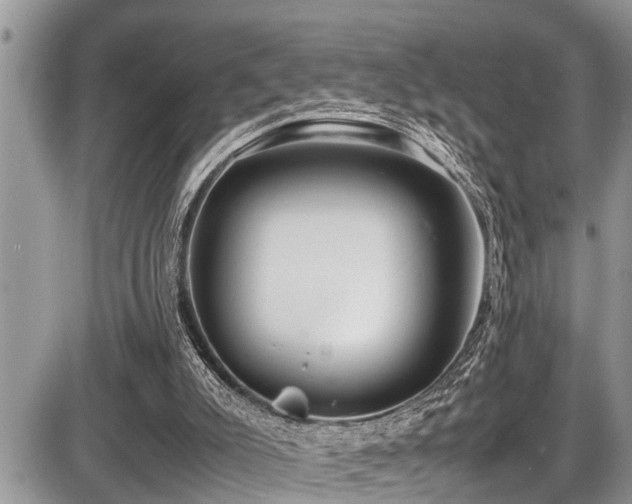 X0000087400007200704201319