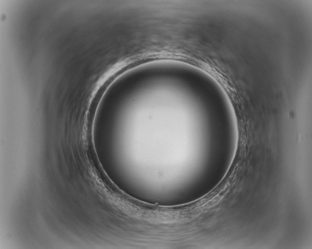 X0000087400008200704201319