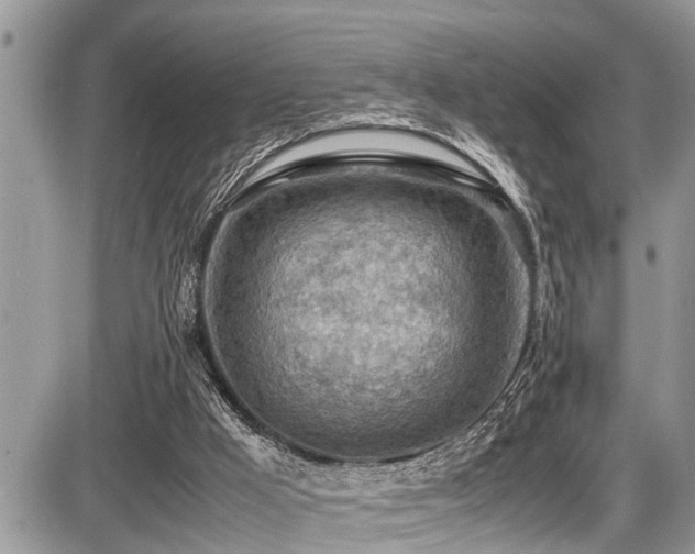 X0000087400009200704201319